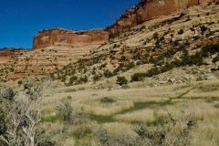 Mee-Canyon-area-with-bighorn